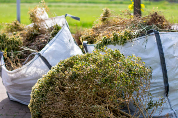 Best Hoarding Cleanup  in Mountain View Ranches, AZ